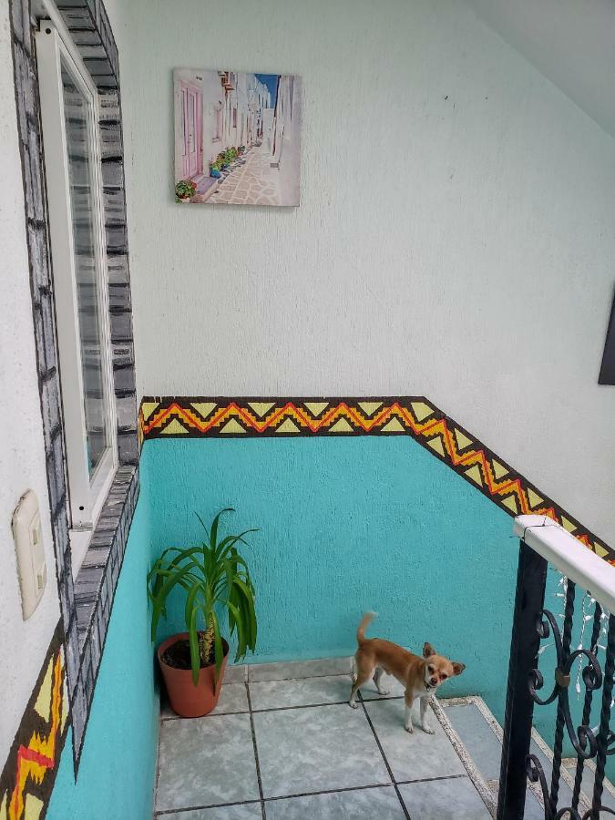 Posada Paso Del Sol Исла-Мухерес Экстерьер фото